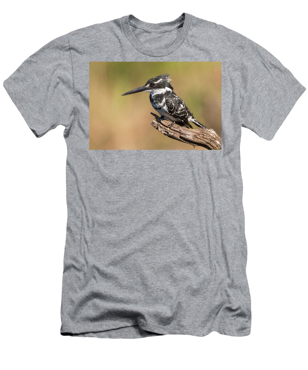 Africa T-Shirt featuring the photograph Pied kingfisher by James Capo