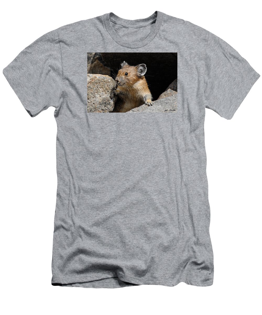 Animal T-Shirt featuring the photograph Pika Looking out from its Burrow by Jeff Goulden