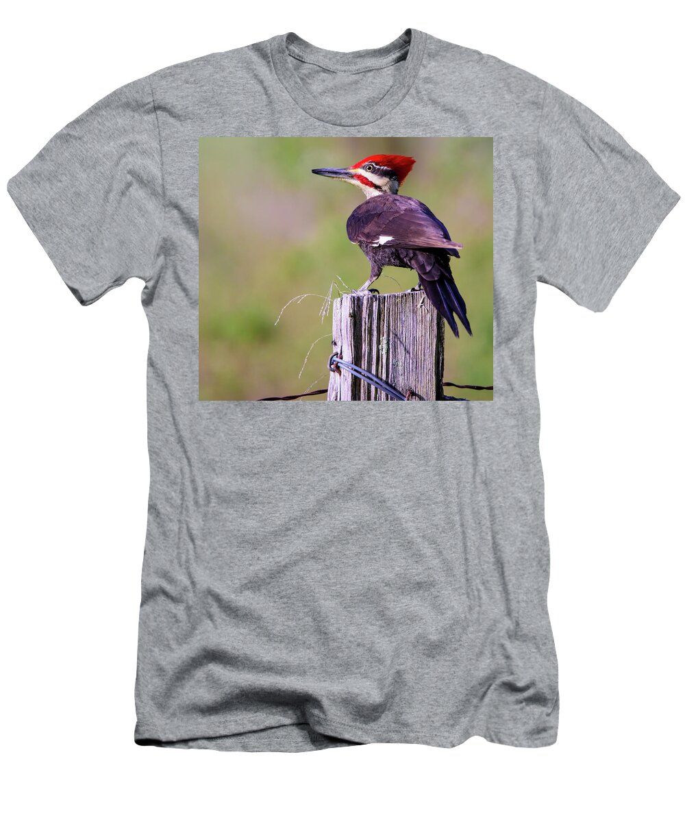 Wildlife T-Shirt featuring the photograph Pileated Woodpecker by Roberta Kayne