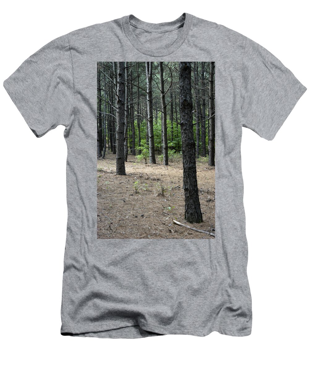 Pine Trees T-Shirt featuring the photograph Pine Floor - Georgia by DArcy Evans