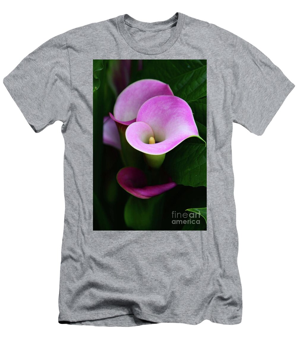 Flowers T-Shirt featuring the photograph Pink Callas by Cindy Manero