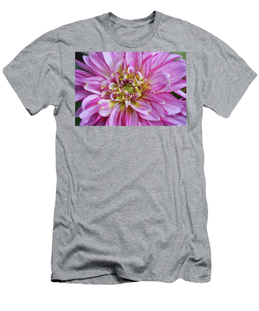 Dahlia T-Shirt featuring the photograph Pink Dahlia by Aimee L Maher ALM GALLERY