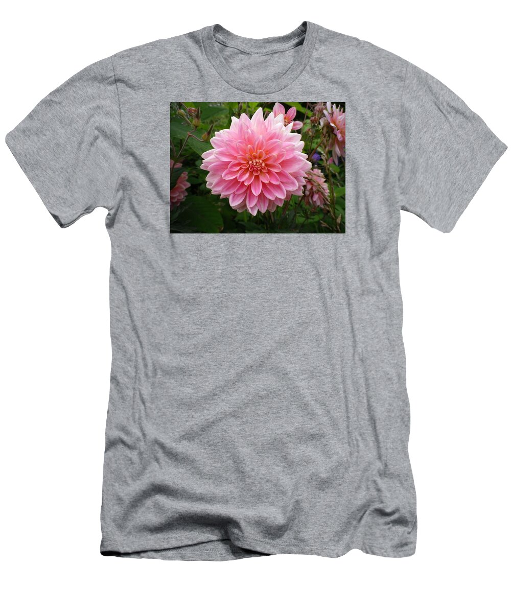 Dahlia T-Shirt featuring the photograph Pink Dahlia by Richard Brookes