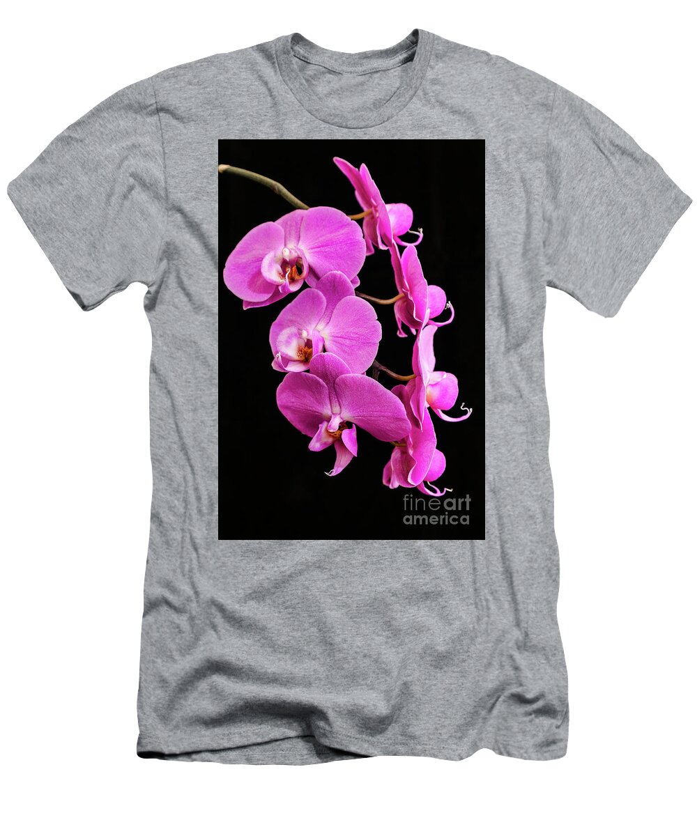 Pink Orchid T-Shirt featuring the photograph Pink Orchid with Black background by Andy Myatt