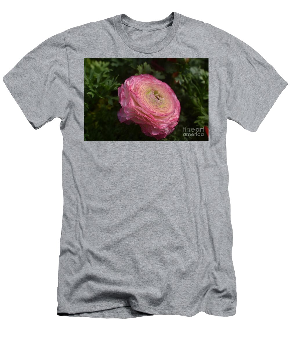 Pink T-Shirt featuring the digital art Pink Ranunculus by Yenni Harrison