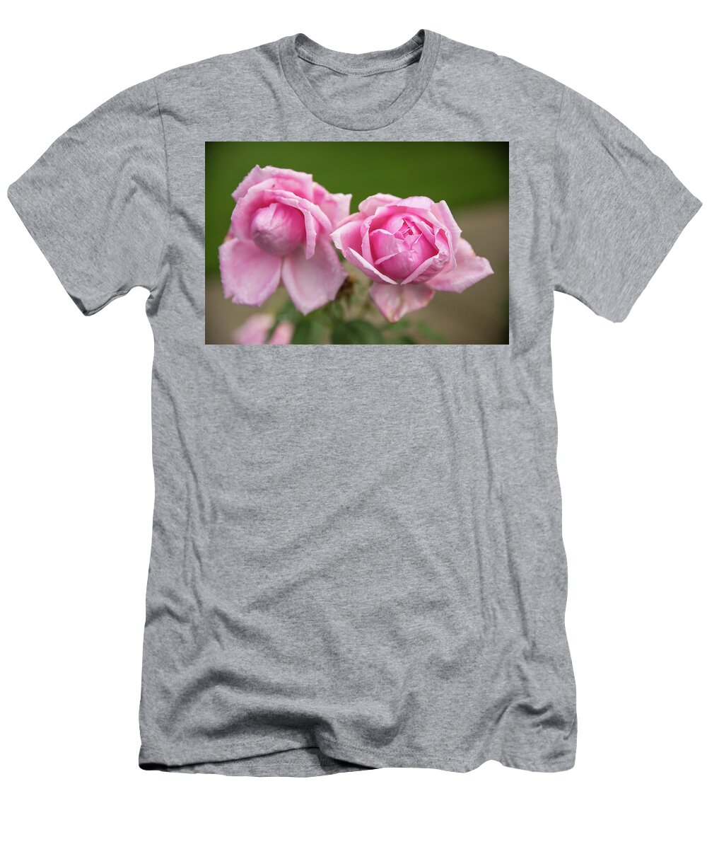 State Capitol State Park T-Shirt featuring the photograph Pink Roses by Tom Cochran