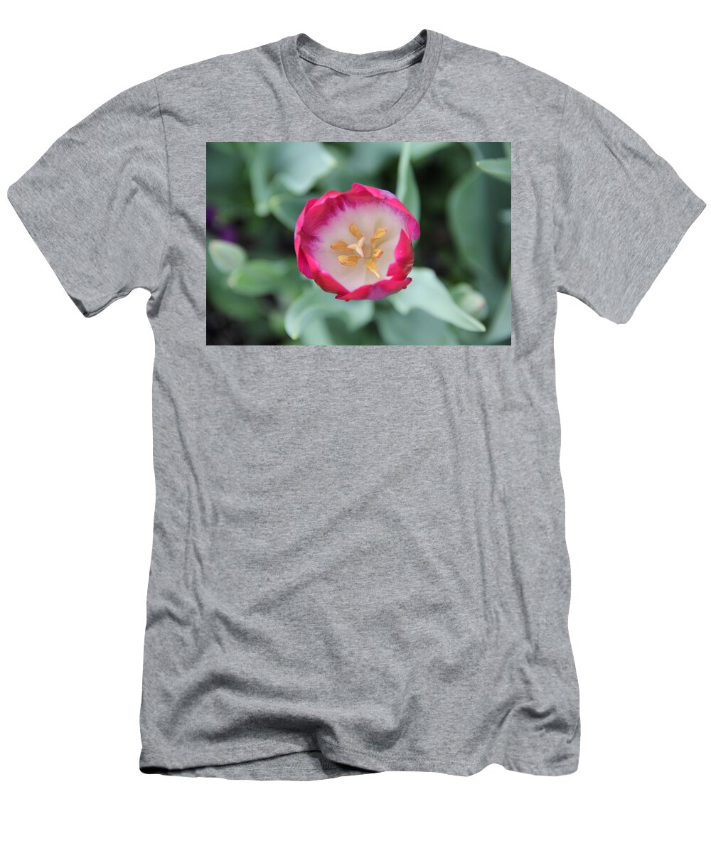 Tulip T-Shirt featuring the photograph Pink Tulip Top View by Allen Nice-Webb