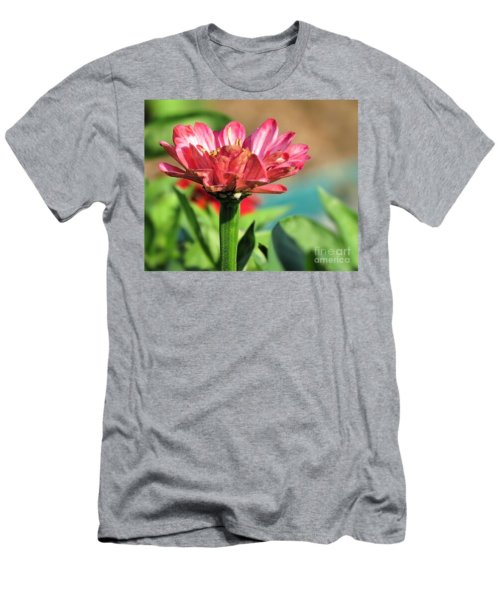 Pink Zinnia T-Shirt featuring the photograph Pinkish by Janice Drew
