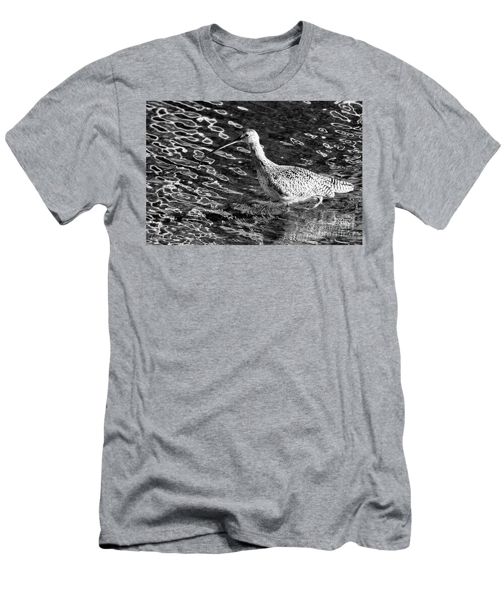 Bird T-Shirt featuring the photograph Piper Profile, Black and White by Adam Morsa