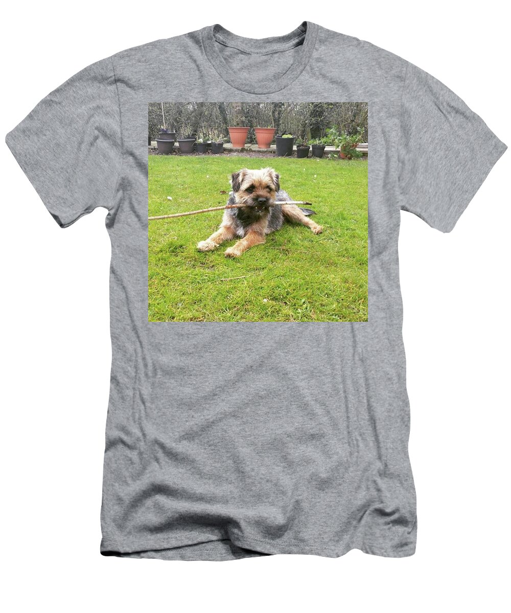 Dog T-Shirt featuring the photograph Playing With Sticks by Rowena Tutty