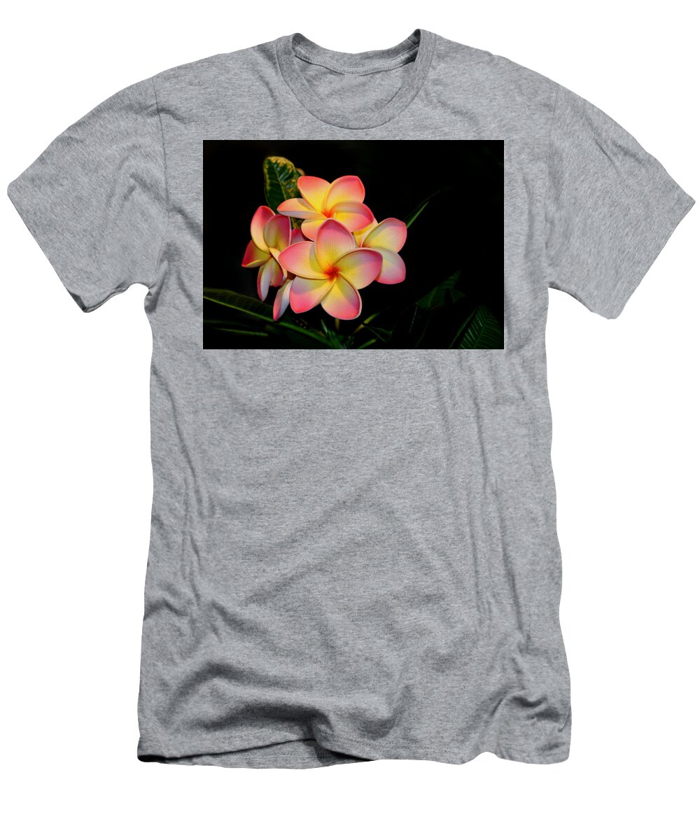 Plumeria T-Shirt featuring the photograph Plumeria by Living Color Photography Lorraine Lynch