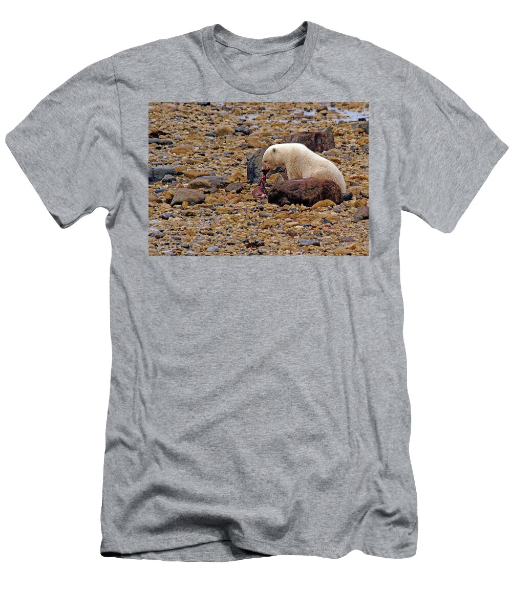 Polar T-Shirt featuring the photograph Polar Bear Eating Ringed Seal by Ted Keller