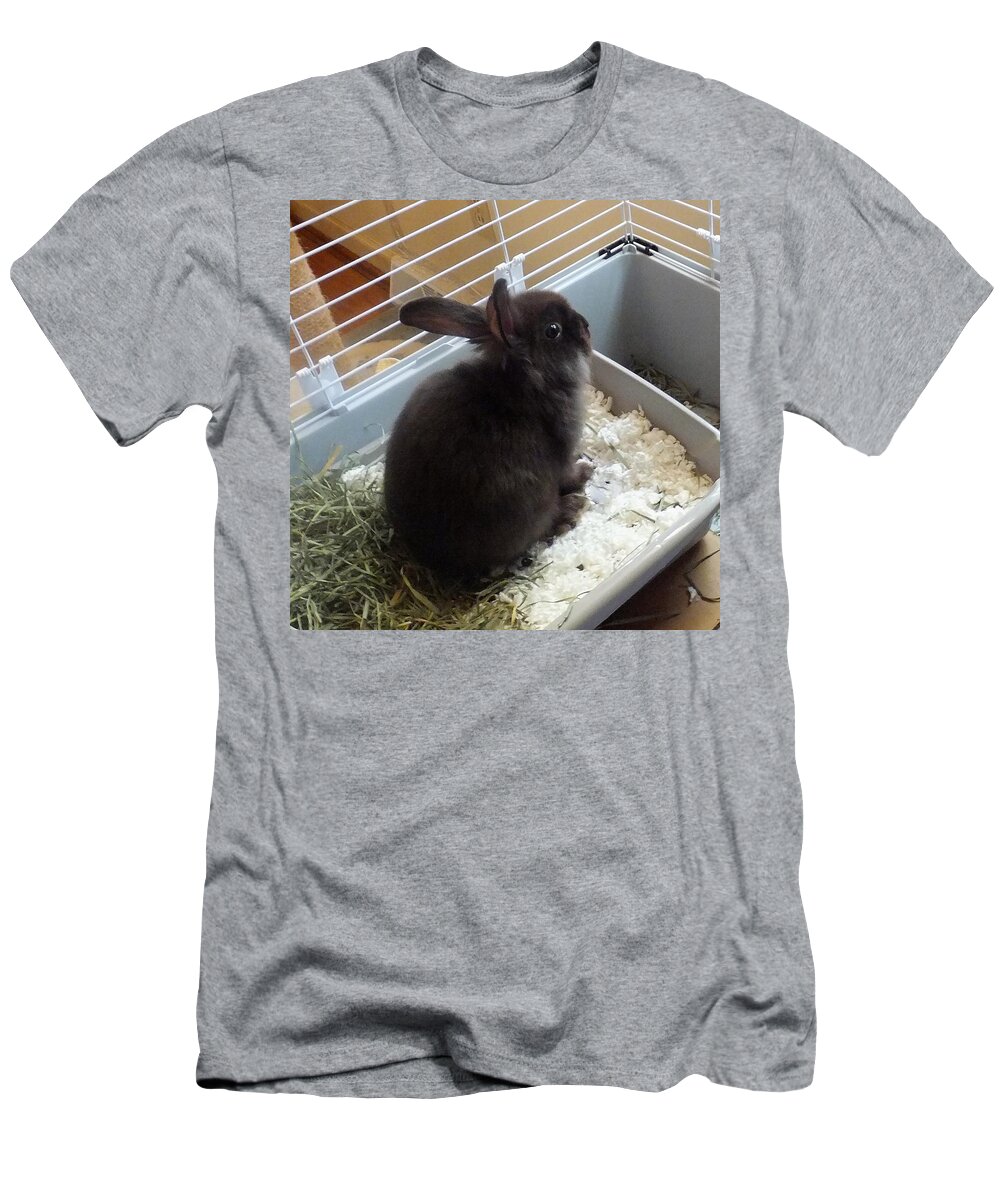 Rabbit T-Shirt featuring the photograph Portrait Of Bunbunz by Denise F Fulmer