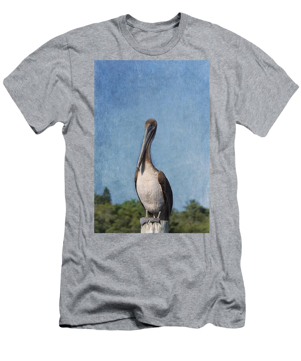 Pelican T-Shirt featuring the photograph Posing Pelican by Kim Hojnacki