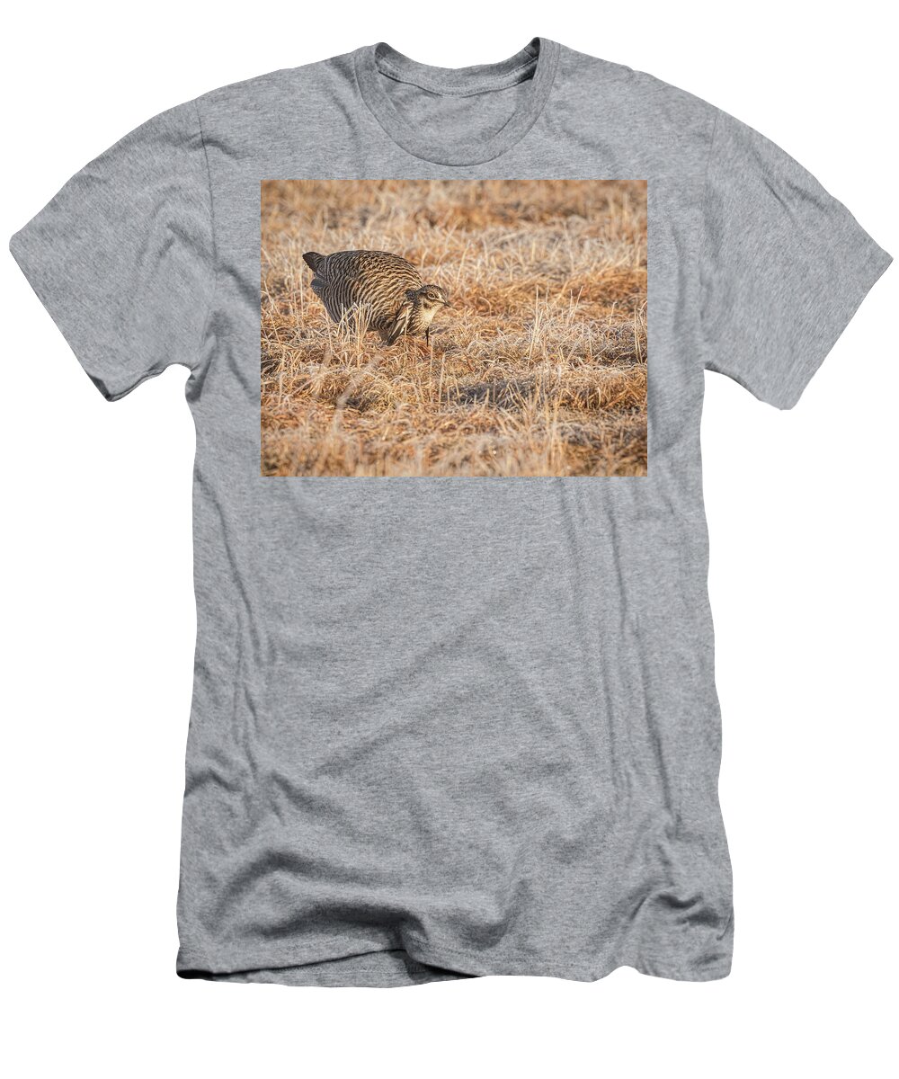Wisconsins Prairie Chicken T-Shirt featuring the photograph Prairie Chicken 11-2015 by Thomas Young