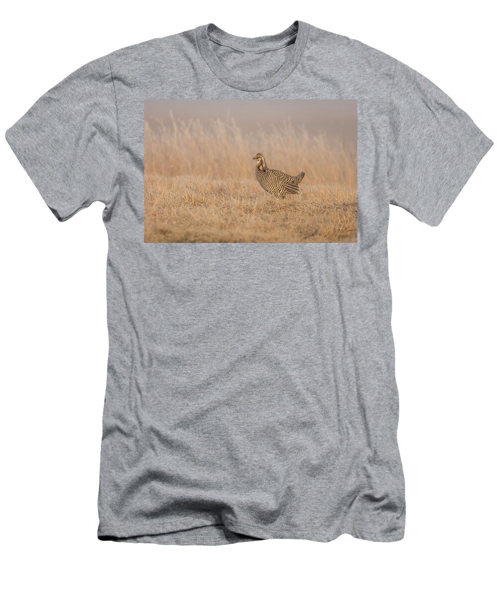 Wisconsins Prairie Chicken T-Shirt featuring the photograph Prairie Chicken 5-2015 by Thomas Young