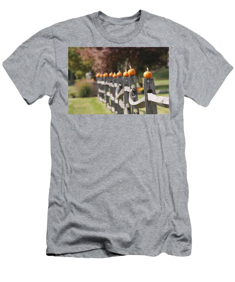 Autumn T-Shirt featuring the photograph Prelude To Autumn by Living Color Photography Lorraine Lynch