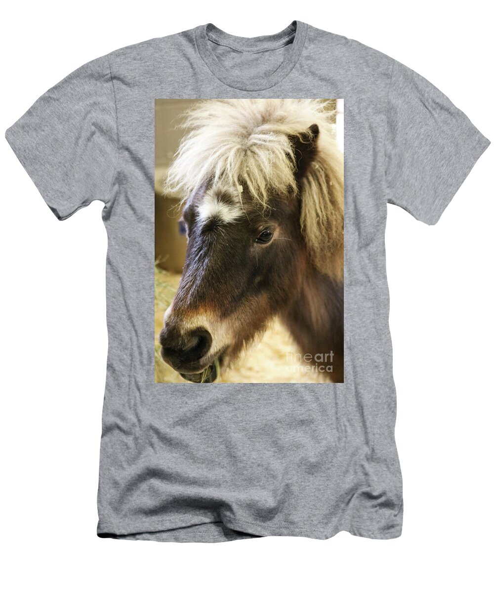 Pony T-Shirt featuring the photograph Pretty Pony by Suzanne Luft