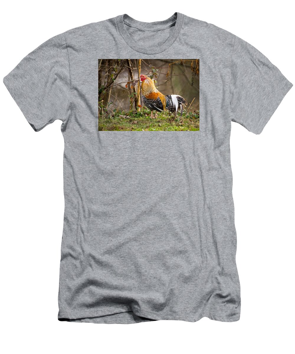 Downy T-Shirt featuring the photograph Pride Goes Before the Fall of a Fowl Head by Douglas Barnett