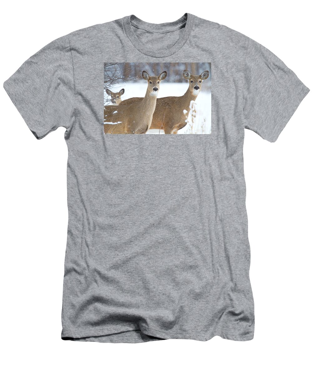 Whitetail Deer T-Shirt featuring the photograph Protective Custody by Jim Garrison