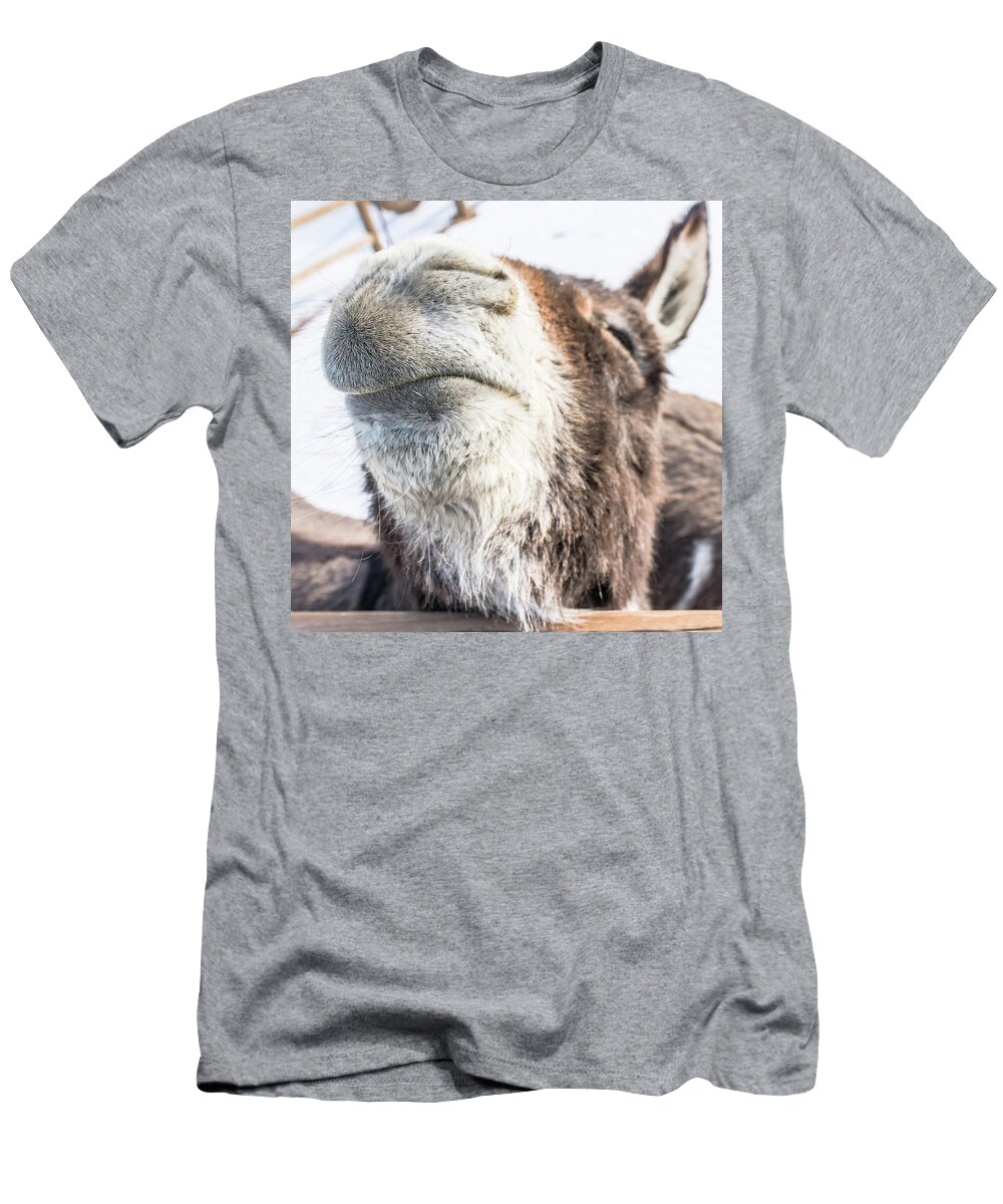 Donkey T-Shirt featuring the photograph Pucker Up, Baby by Jennifer Grossnickle
