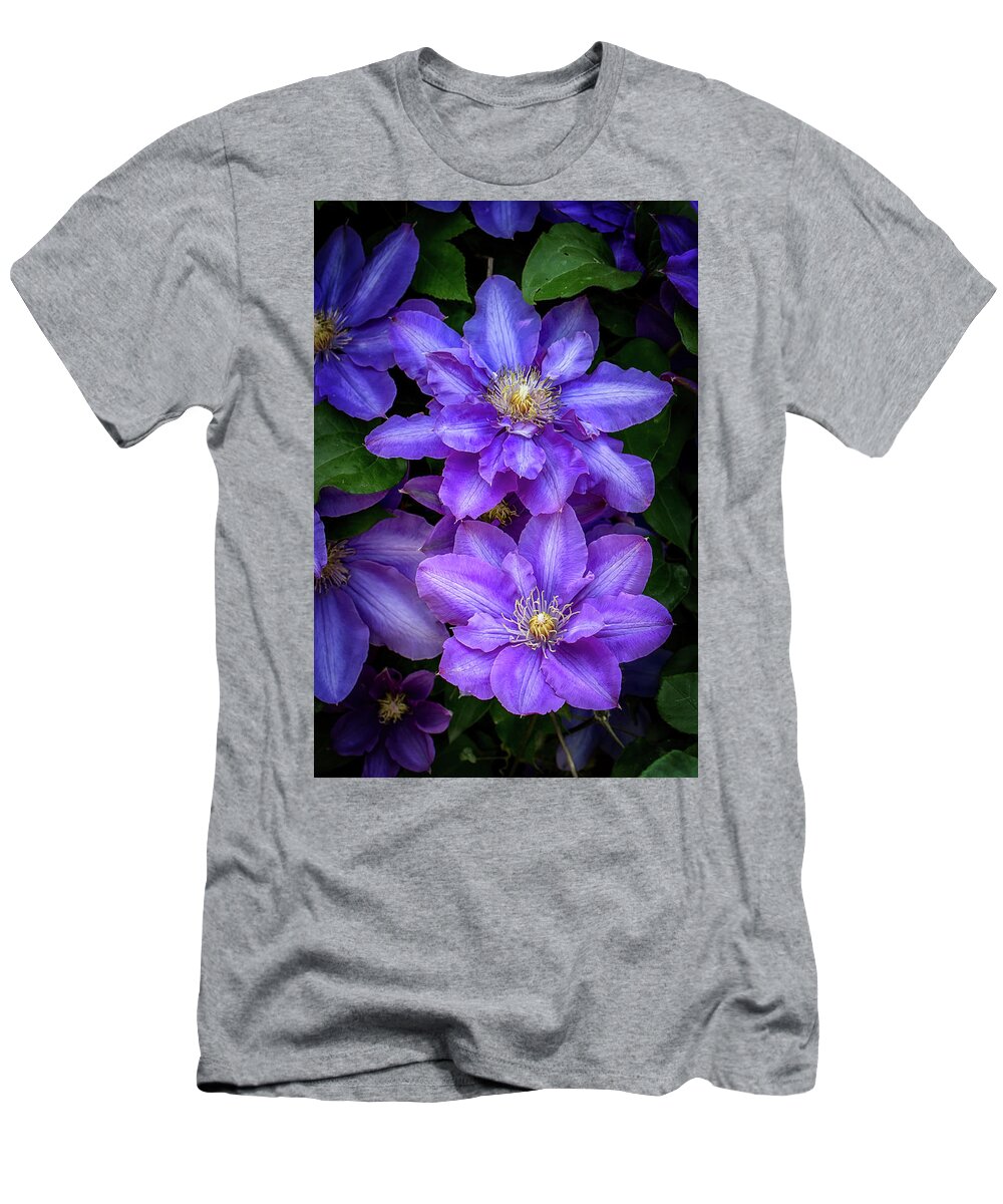 Flowers T-Shirt featuring the photograph Purple Clematis in Spring by John Haldane