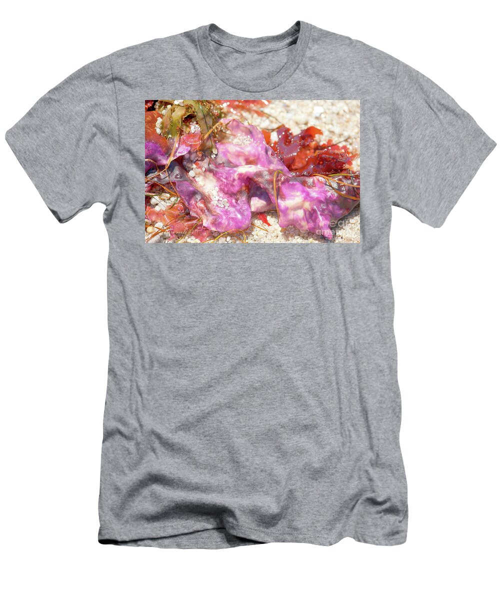 Waves T-Shirt featuring the photograph Purple Seaweed in Pacific Grove by Artist and Photographer Laura Wrede