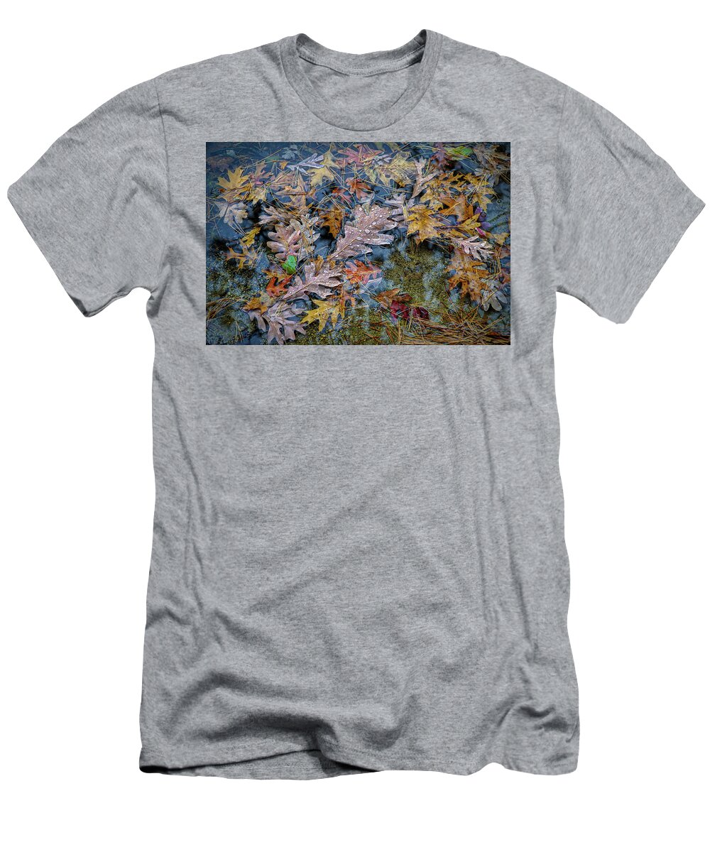 Rain T-Shirt featuring the photograph Rain on autumn leaves by Lilia S