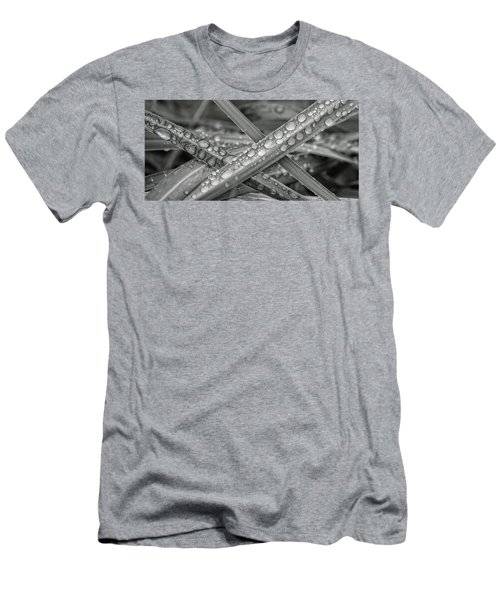 Black And White T-Shirt featuring the photograph Raindrops on Grasses by Rick Lawler