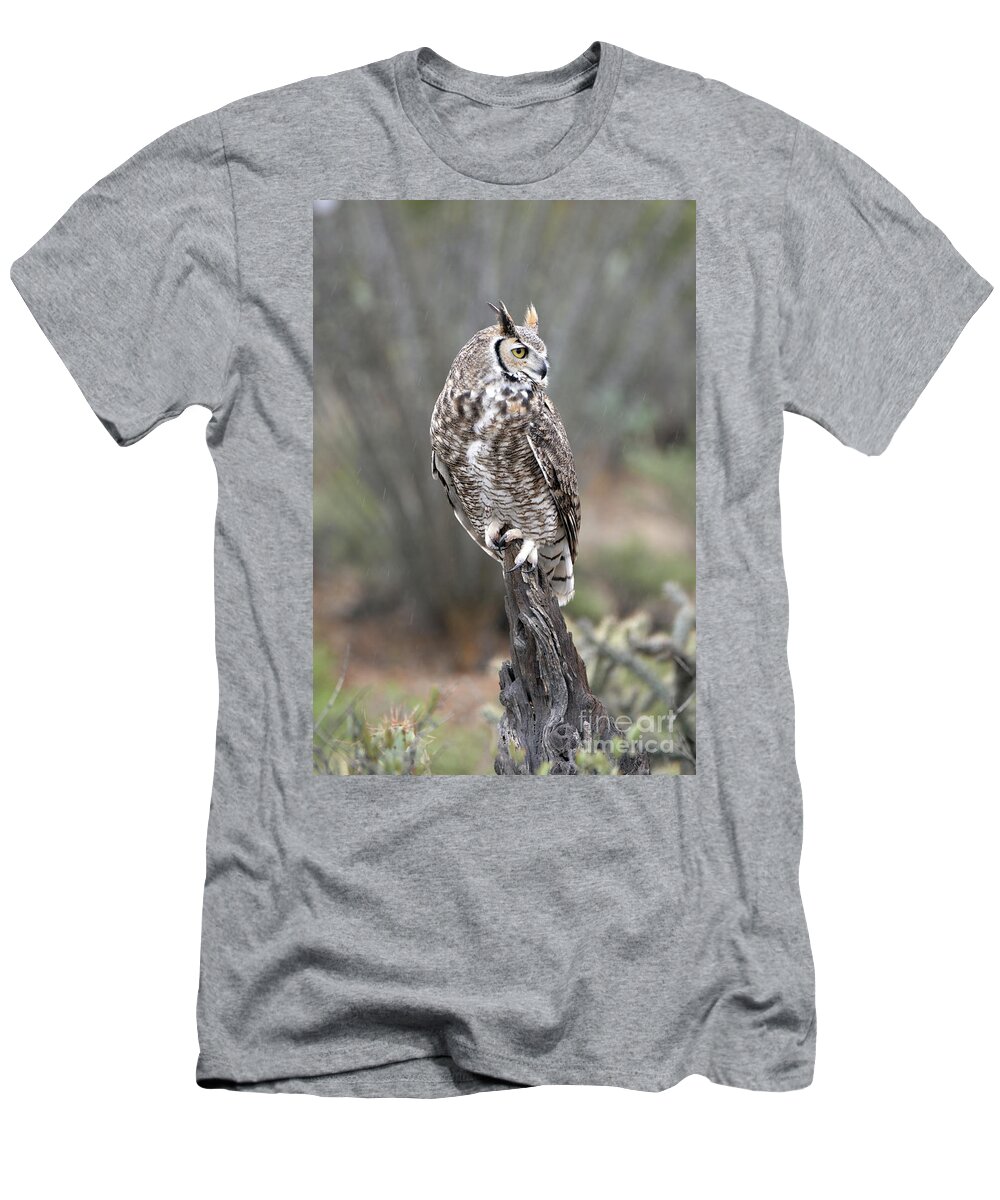 Denise Bruchman T-Shirt featuring the photograph Rainy Day Owl by Denise Bruchman