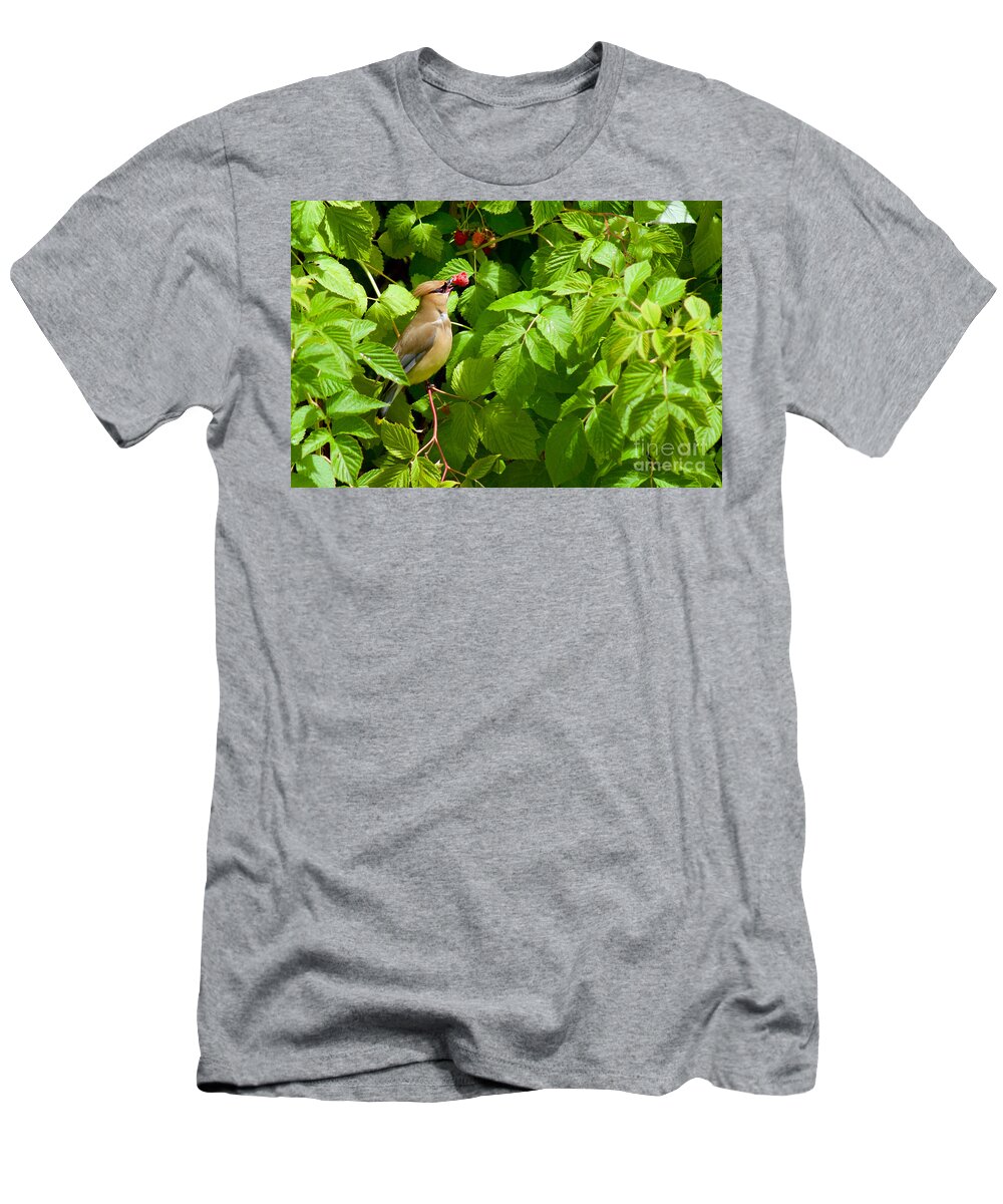 Photography T-Shirt featuring the photograph Raspberry Bandit by Sean Griffin