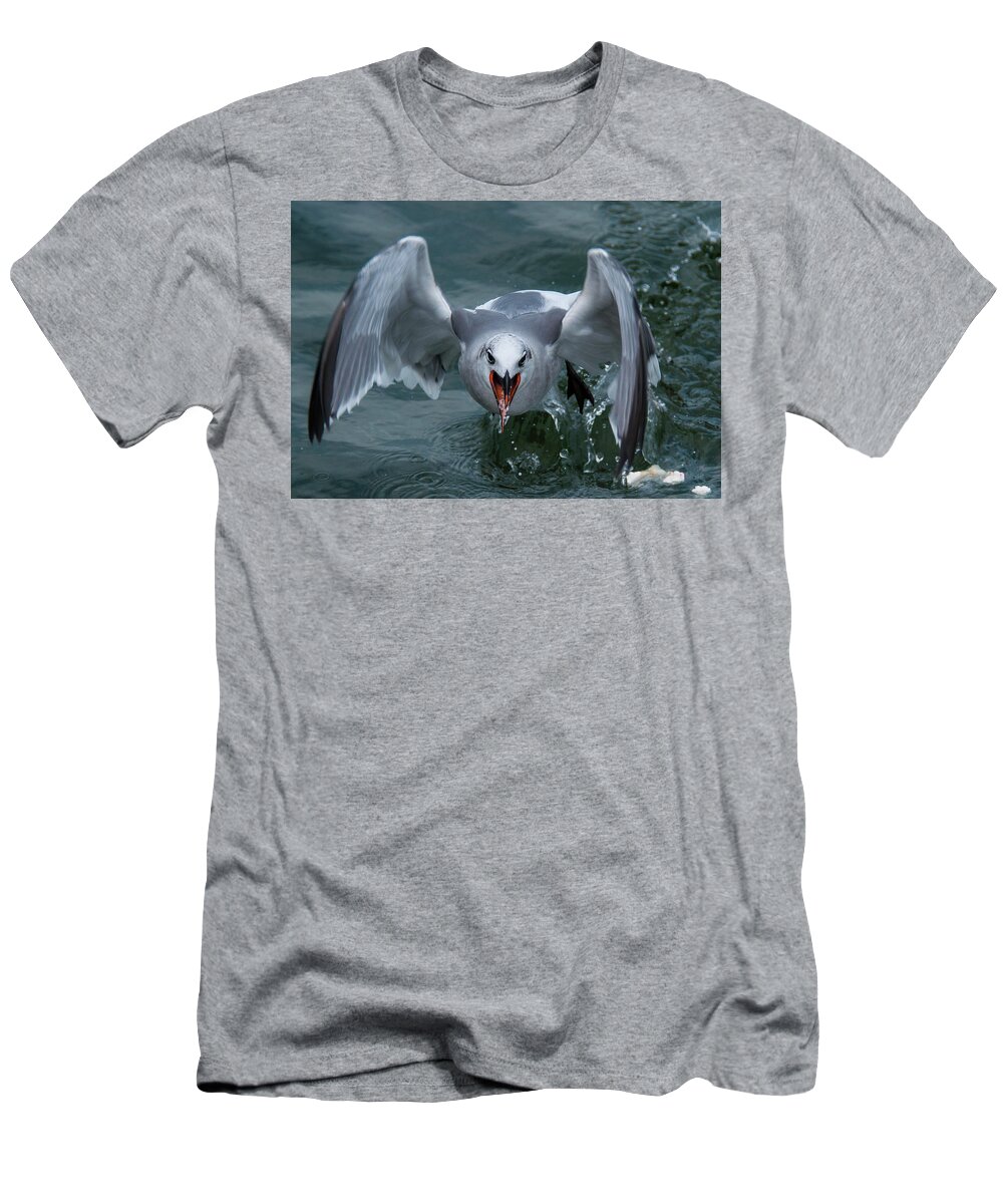 Gull T-Shirt featuring the photograph Ravenous Gull by John Roach