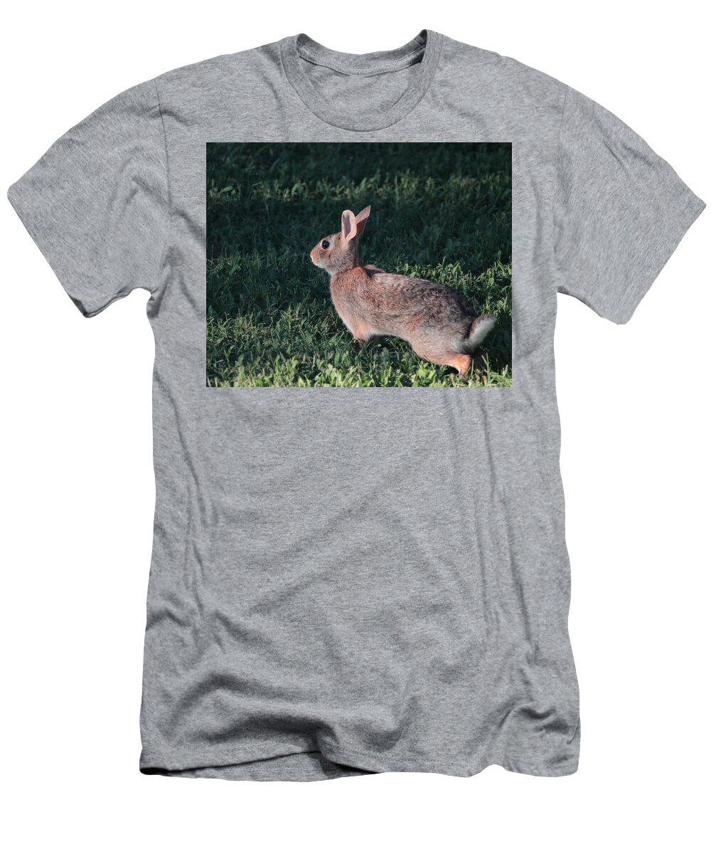 Rabbit T-Shirt featuring the photograph Ready to Run by John Moyer