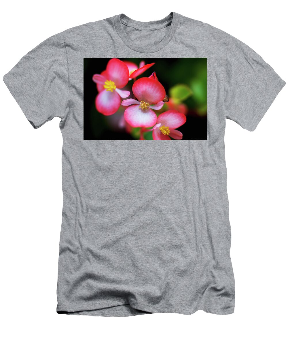 Macro T-Shirt featuring the photograph Red Flower Petals 2 by Nicola Nobile