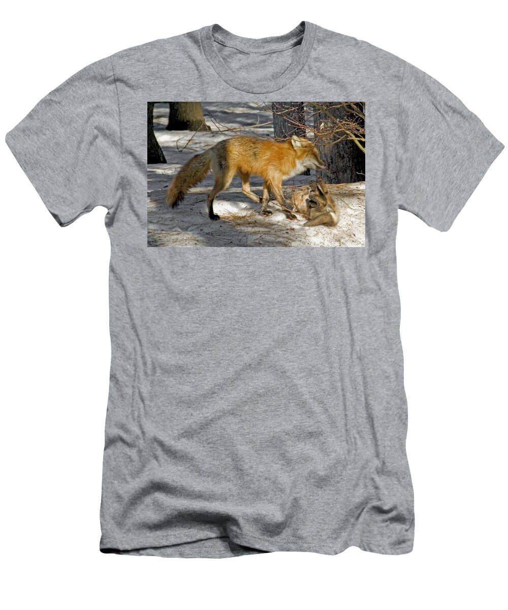 Red Fox T-Shirt featuring the photograph Red Fox Mommy and the cutest puppy by Asbed Iskedjian