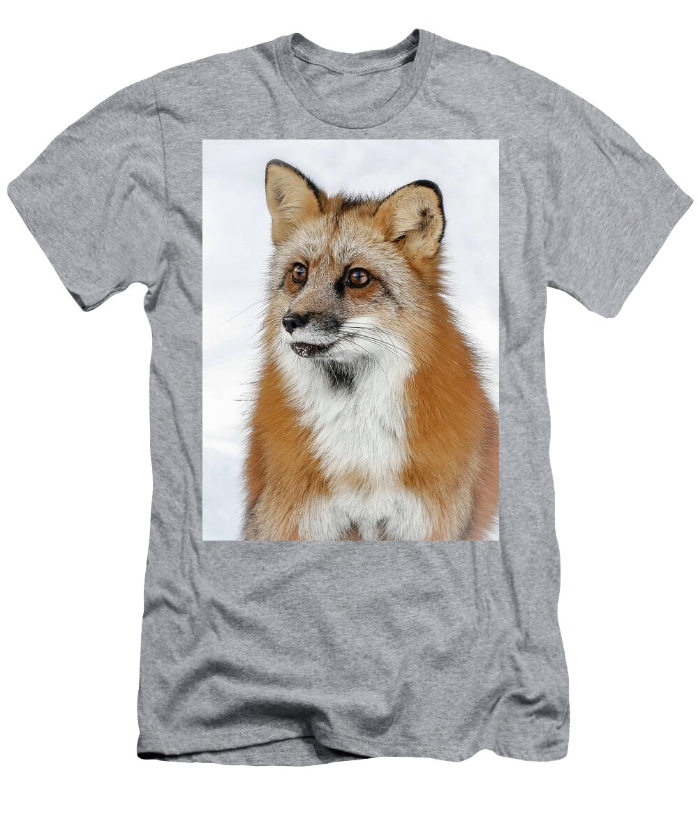 Red Fox T-Shirt featuring the photograph Red Furry Fox by Athena Mckinzie