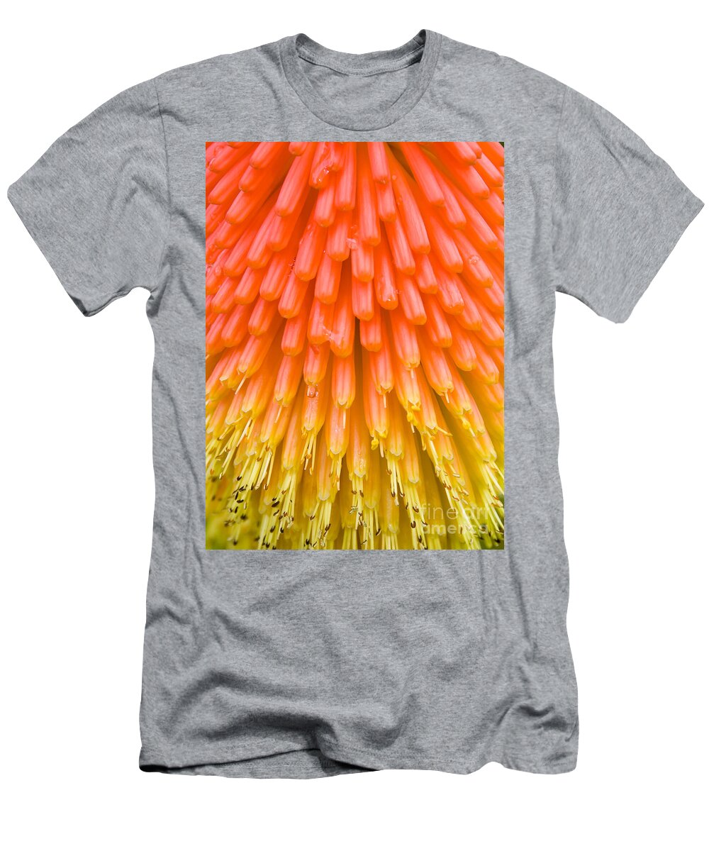 Flowers T-Shirt featuring the photograph Red Hot Poker flower close up by Colin Rayner