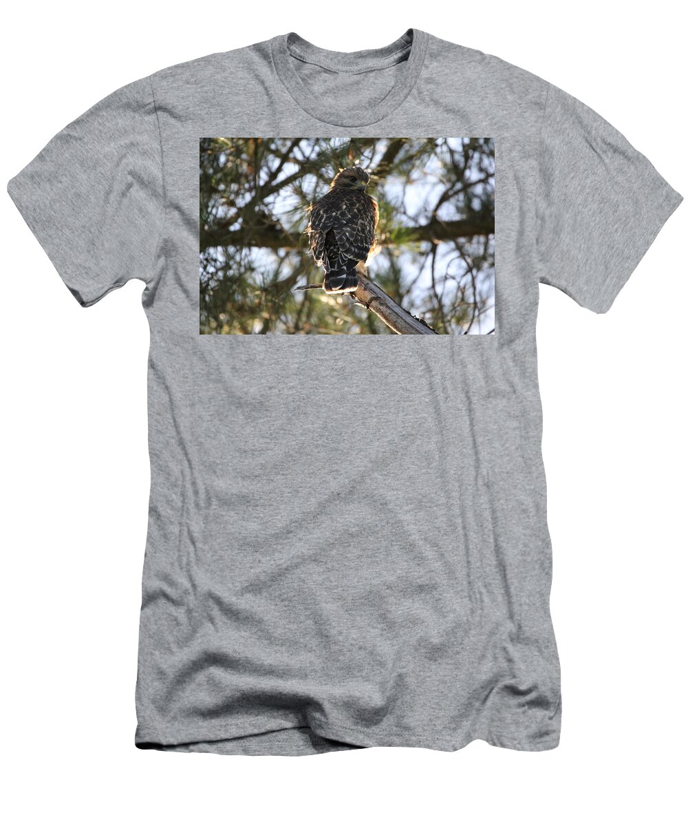 Hawk T-Shirt featuring the photograph Red Shouldered Hawk Fledgling by Liz Vernand