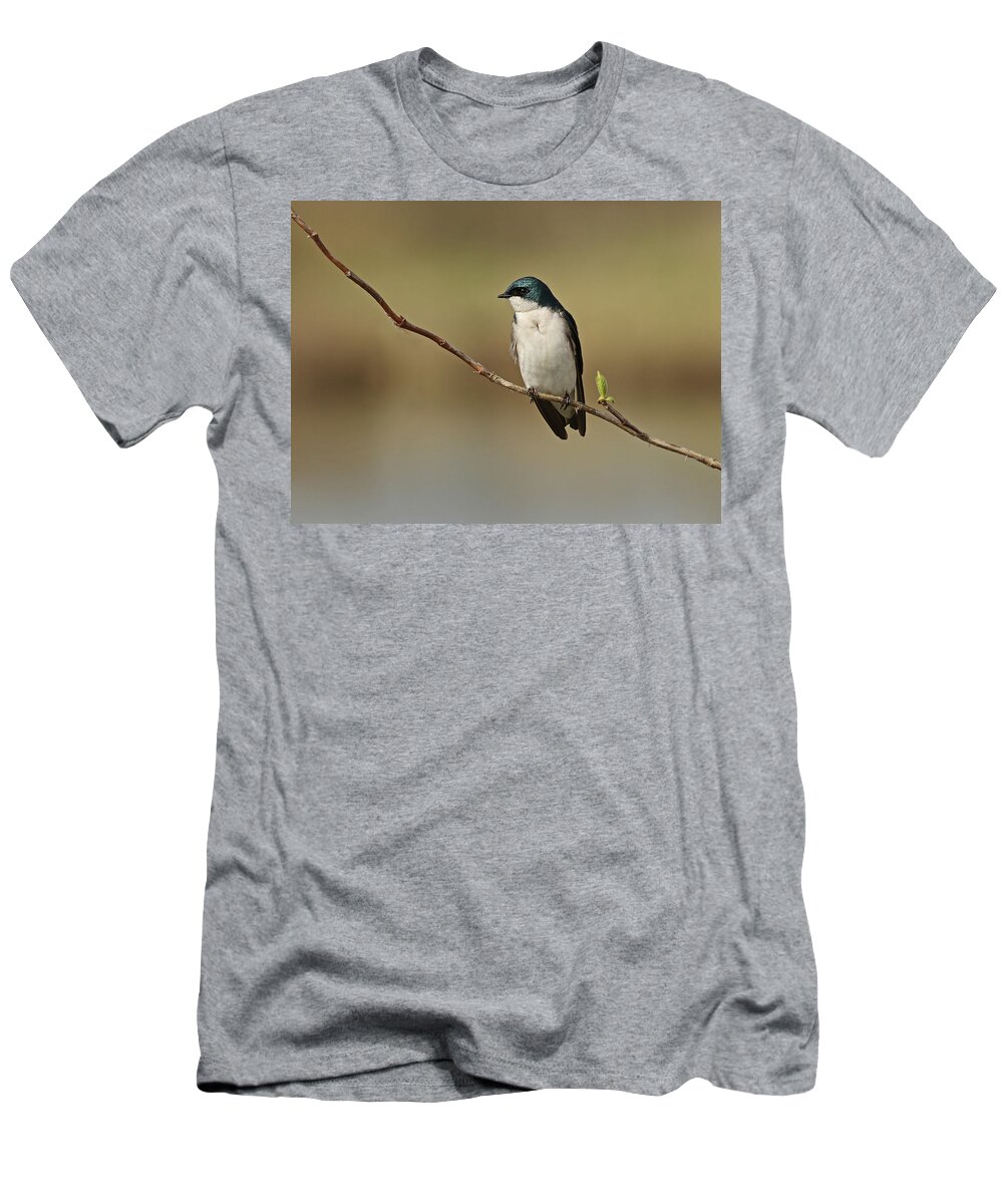 Tree Swallow T-Shirt featuring the photograph Resting Tree Swallow by Inge Riis McDonald