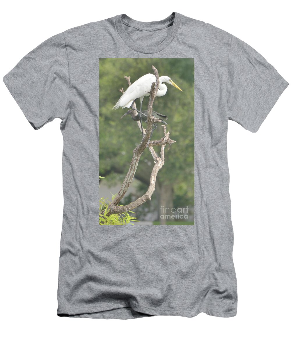 Nature T-Shirt featuring the photograph Right by Alison Belsan Horton