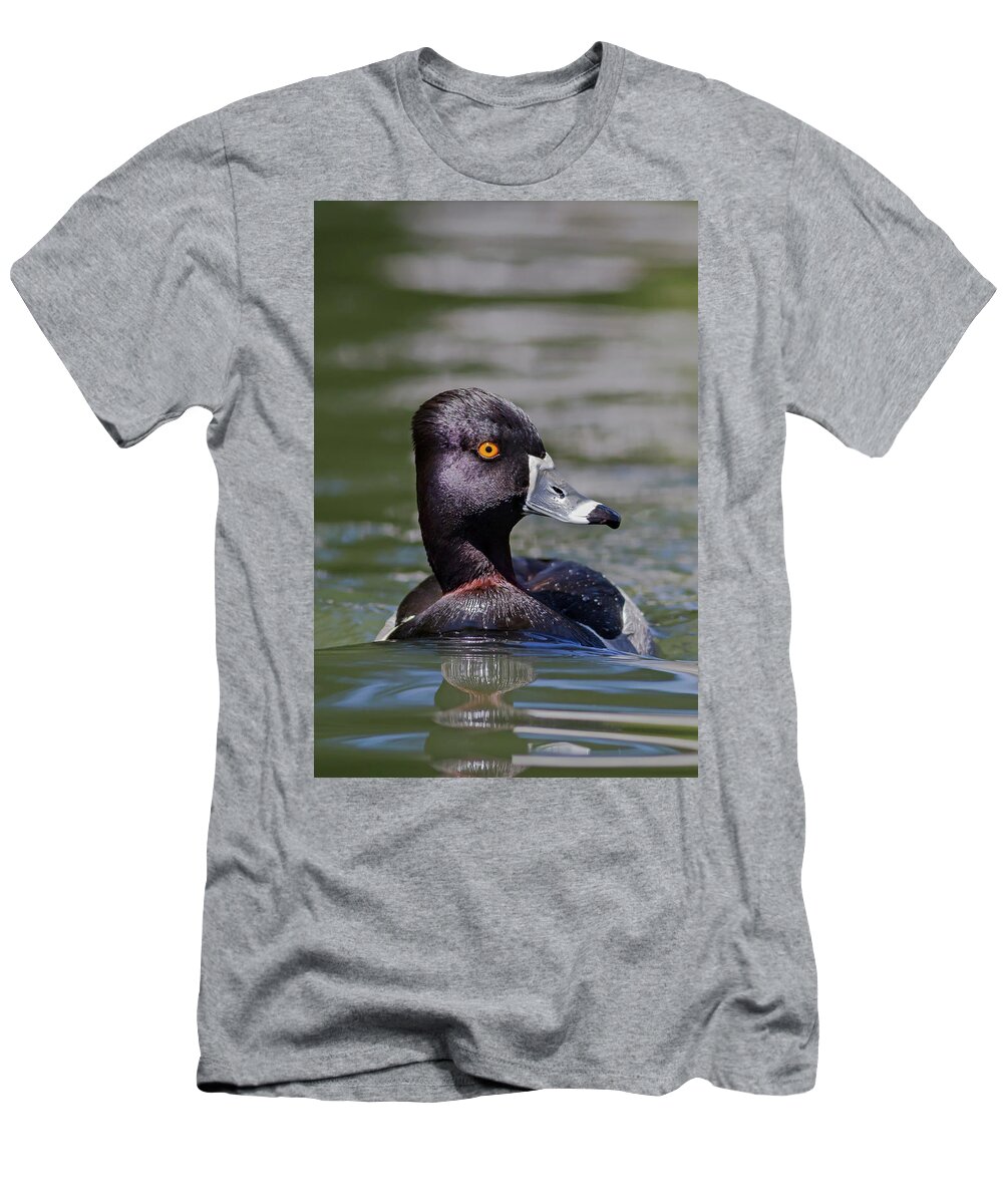 Mark Miller Photos T-Shirt featuring the photograph Ring-necked Duck Portrait by Mark Miller