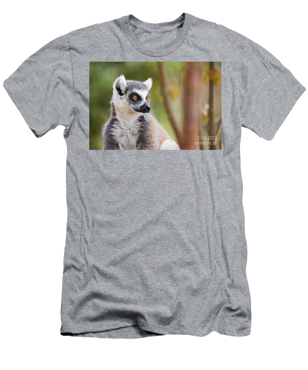Animal T-Shirt featuring the photograph Ring-tailed lemur closeup by Nick Biemans