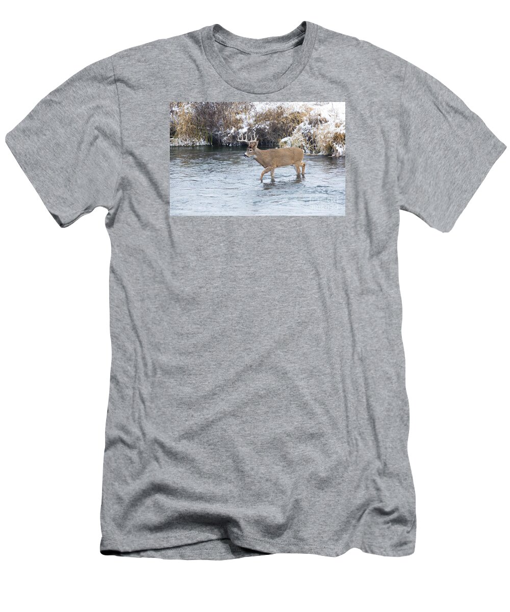 Whitetail T-Shirt featuring the photograph River Crossing by Douglas Kikendall