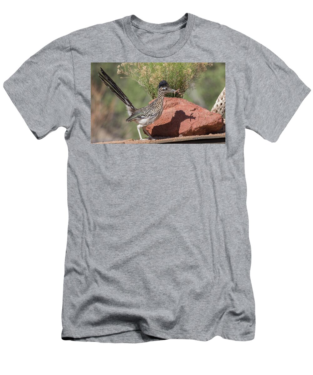 Bird T-Shirt featuring the photograph Roadrunner by Dee Carpenter