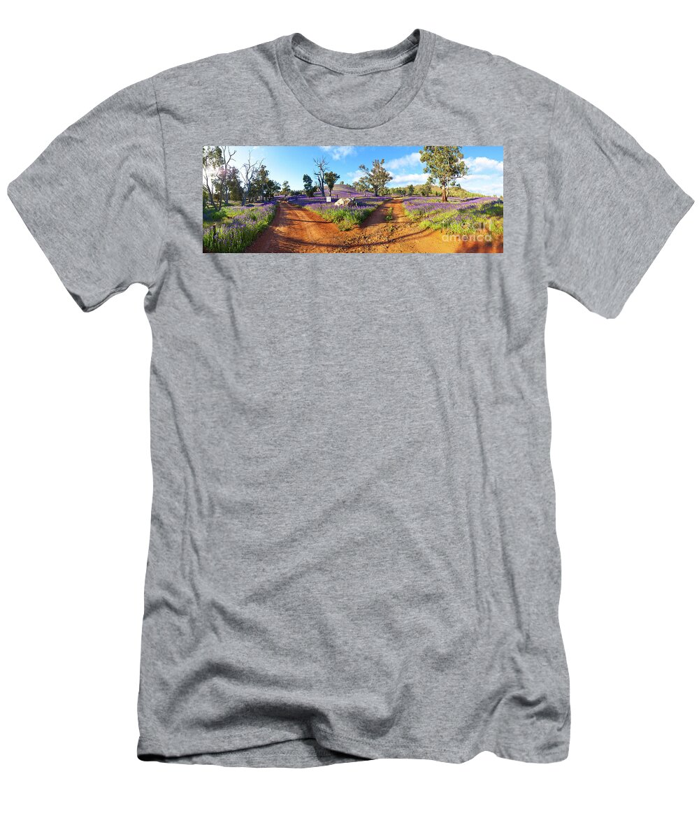 Salvation Jane Pattersons Curse Willow Springs Station Flinders Ranges Wild Flowers Fork In The Road Dirt Trakcs Ausralia South Australian Landscape Landscapes Pano Panorama Panoramic T-Shirt featuring the photograph Roads to Salvation Jane by Bill Robinson