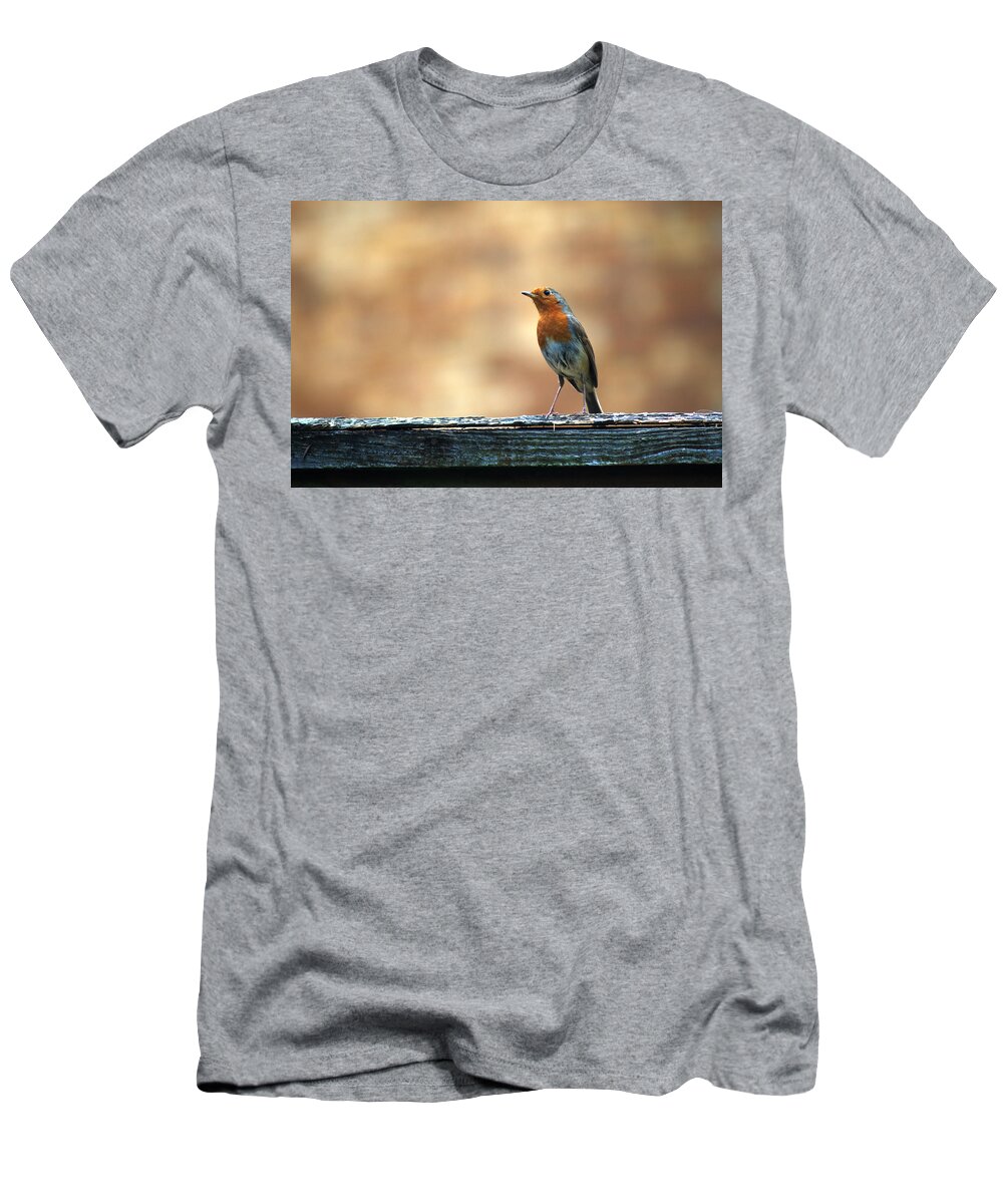 Robin T-Shirt featuring the photograph Robin 2 by Chris Day