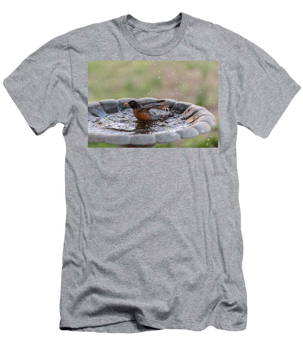 Terry Deluco T-Shirt featuring the photograph Robin In Bird Bath New Jersey by Terry DeLuco