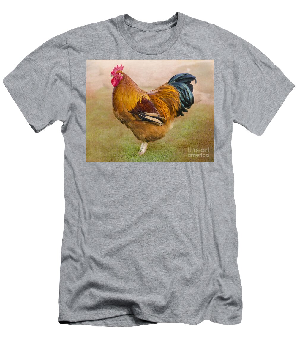 Rooster T-Shirt featuring the photograph Rooster by Linsey Williams
