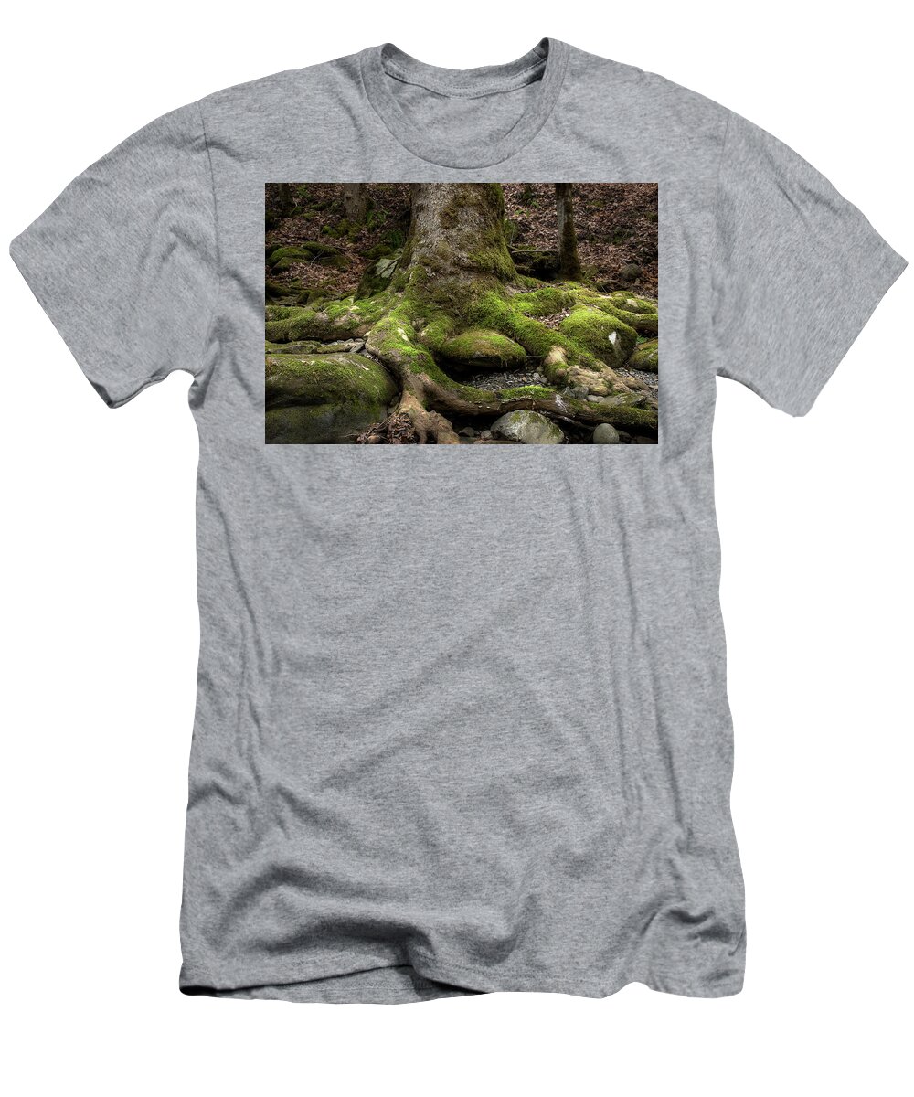 Roots T-Shirt featuring the photograph Roots Along The River by Mike Eingle