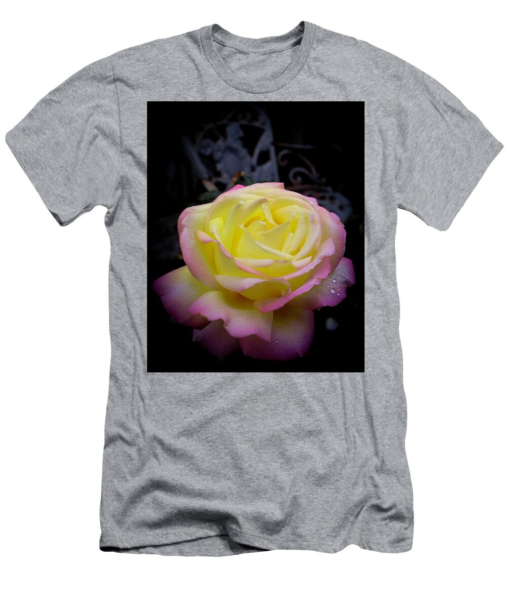 Rose T-Shirt featuring the photograph Rose by Dr Janine Williams